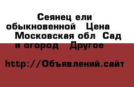 Сеянец ели обыкновенной › Цена ­ 4 - Московская обл. Сад и огород » Другое   